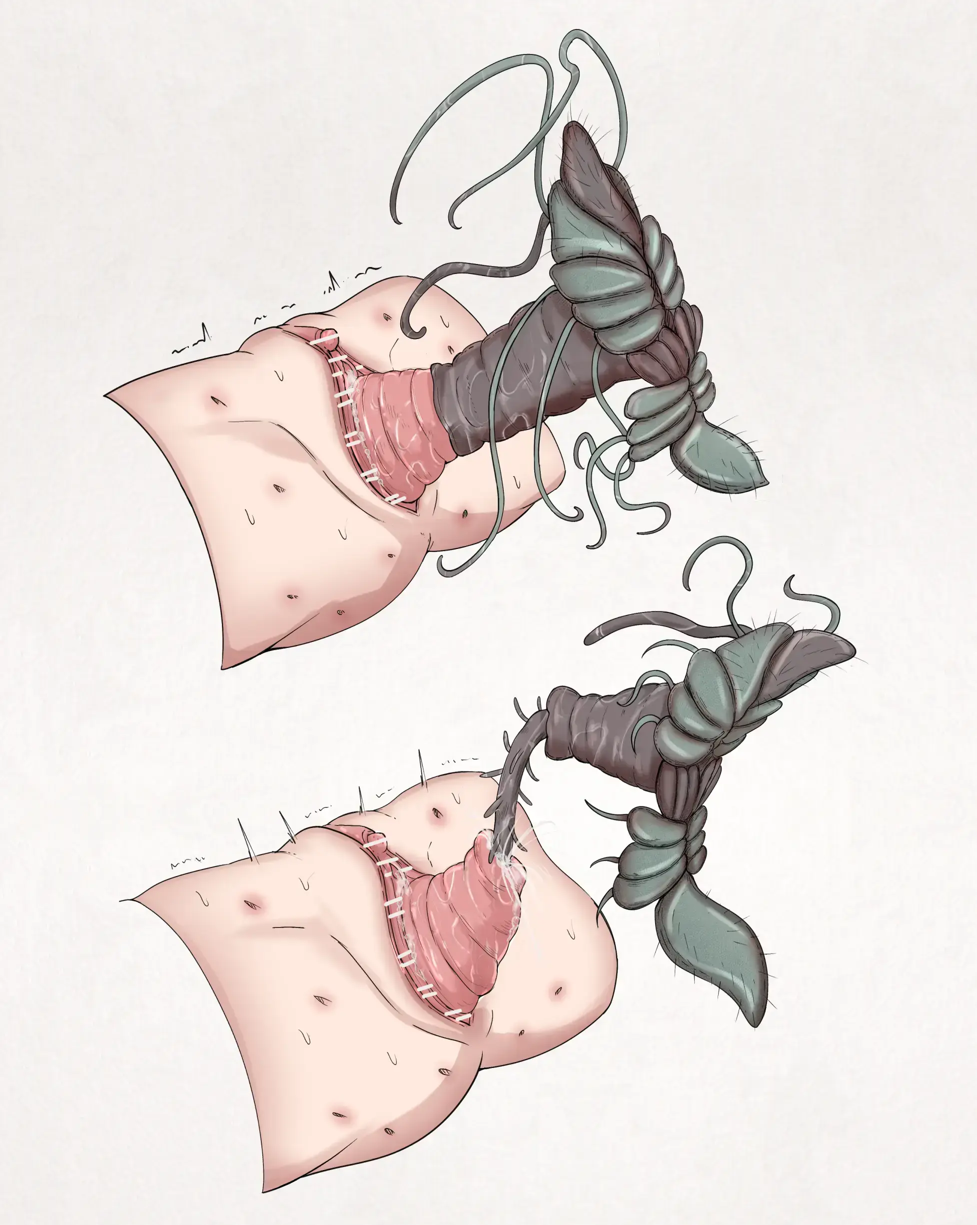 Insect Research Report